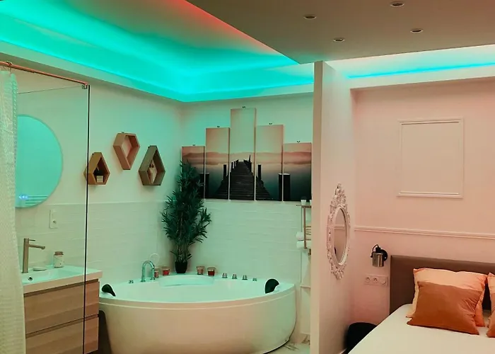 Lotus - équipé, Balnéo, Wi-fi, Hypercentre