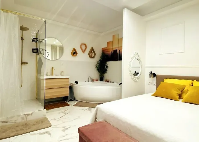 Lotus - équipé, Balnéo, Wi-fi, Hypercentre *